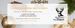 Pachet Promoțional - CRĂCIUN DE VIS 2020