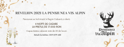 Pachet Promoțional - REVELION DE VIS 2021